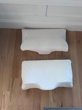 2 Sutera pillows a bundle